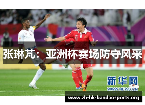 张琳芃:亚洲杯赛场防守风采 张琳芃:亚洲杯赛场防守风采