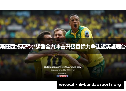 斯旺西城英冠挑战者全力冲击升级目标力争重返英超舞台 斯旺西城英冠挑战者全力冲击升级目标力争重返英超舞台