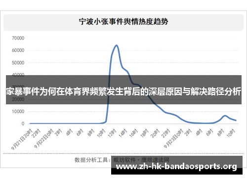 家暴事件为何在体育界频繁发生背后的深层原因与解决路径分析 家暴事件为何在体育界频繁发生背后的深层原因与解决路径分析