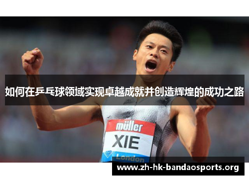 如何在乒乓球领域实现卓越成就并创造辉煌的成功之路 如何在乒乓球领域实现卓越成就并创造辉煌的成功之路