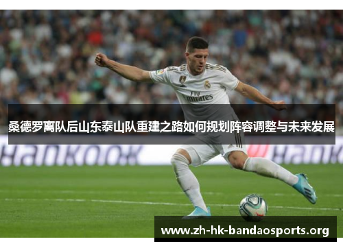 桑德罗离队后山东泰山队重建之路如何规划阵容调整与未来发展 桑德罗离队后山东泰山队重建之路如何规划阵容调整与未来发展