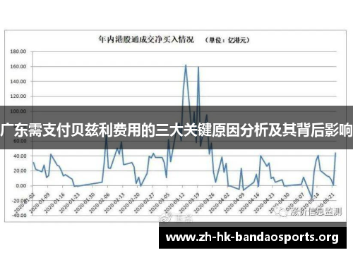 广东需支付贝兹利费用的三大关键原因分析及其背后影响 广东需支付贝兹利费用的三大关键原因分析及其背后影响