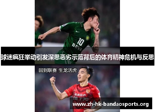 球迷疯狂举动引发深思恶劣示范背后的体育精神危机与反思 球迷疯狂举动引发深思恶劣示范背后的体育精神危机与反思