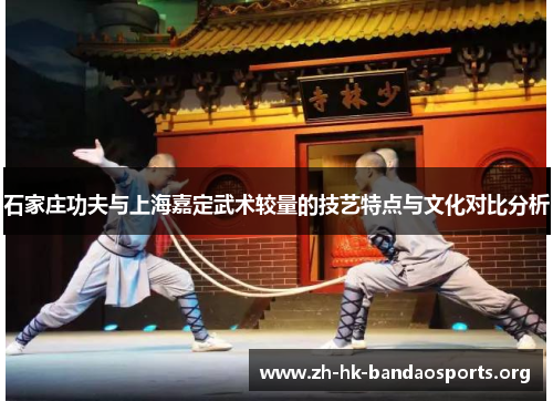 石家庄功夫与上海嘉定武术较量的技艺特点与文化对比分析 石家庄功夫与上海嘉定武术较量的技艺特点与文化对比分析