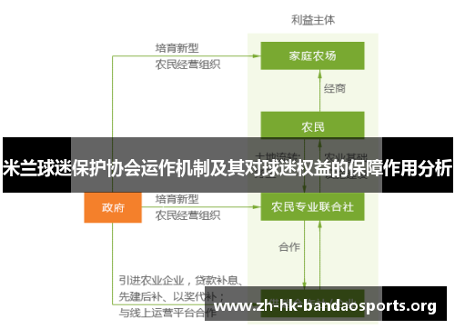 米兰球迷保护协会运作机制及其对球迷权益的保障作用分析 米兰球迷保护协会运作机制及其对球迷权益的保障作用分析